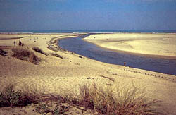 der Courant d'Huchet mäandert durch die Dünen