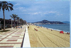 Strand